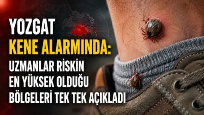 Yaz aylarının başlamasıyla birlikte Yozgat’ta kene kaynaklı hastalık riskine karşı
