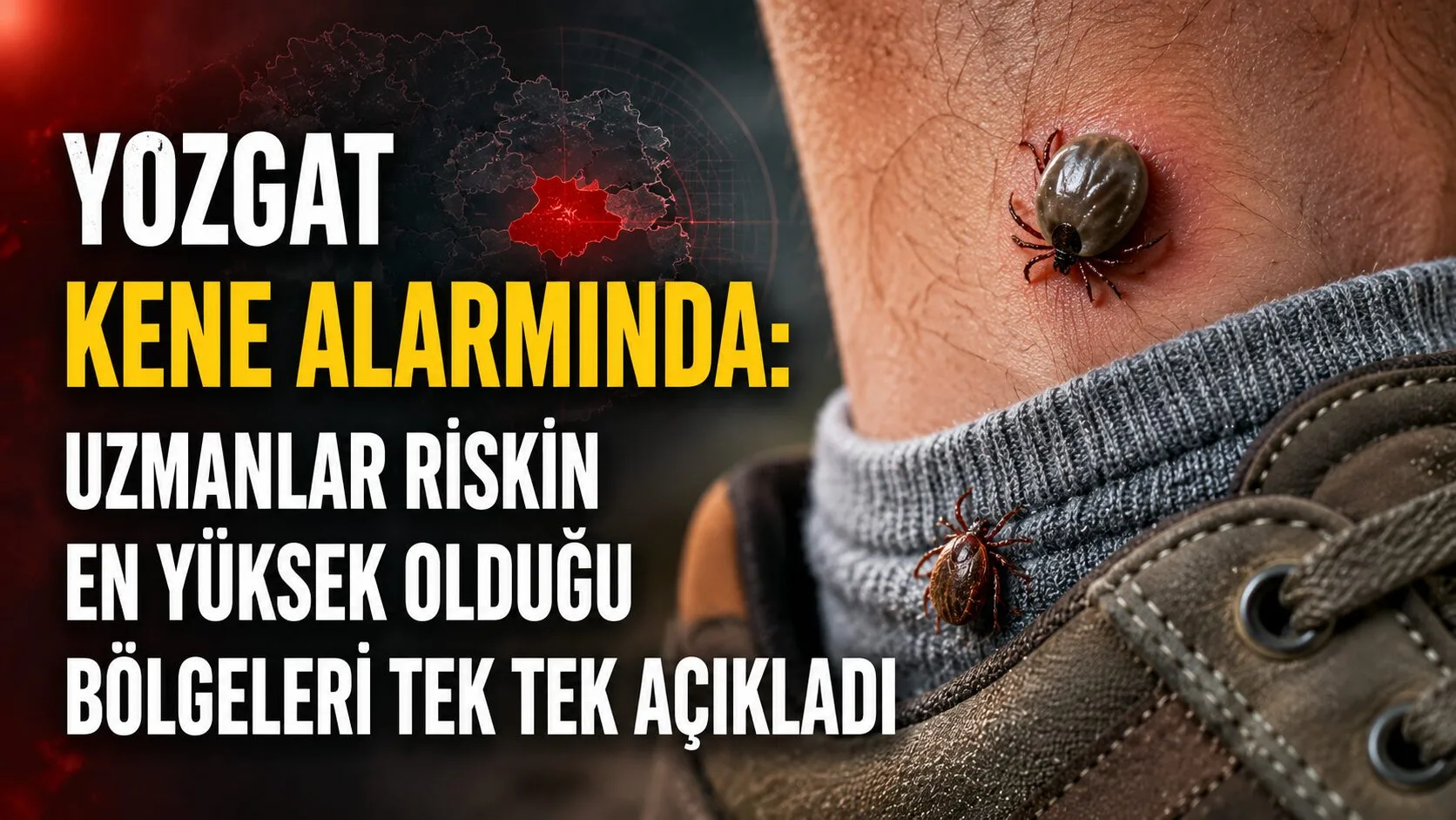 Yaz aylarının başlamasıyla birlikte Yozgat’ta kene kaynaklı hastalık riskine karşı