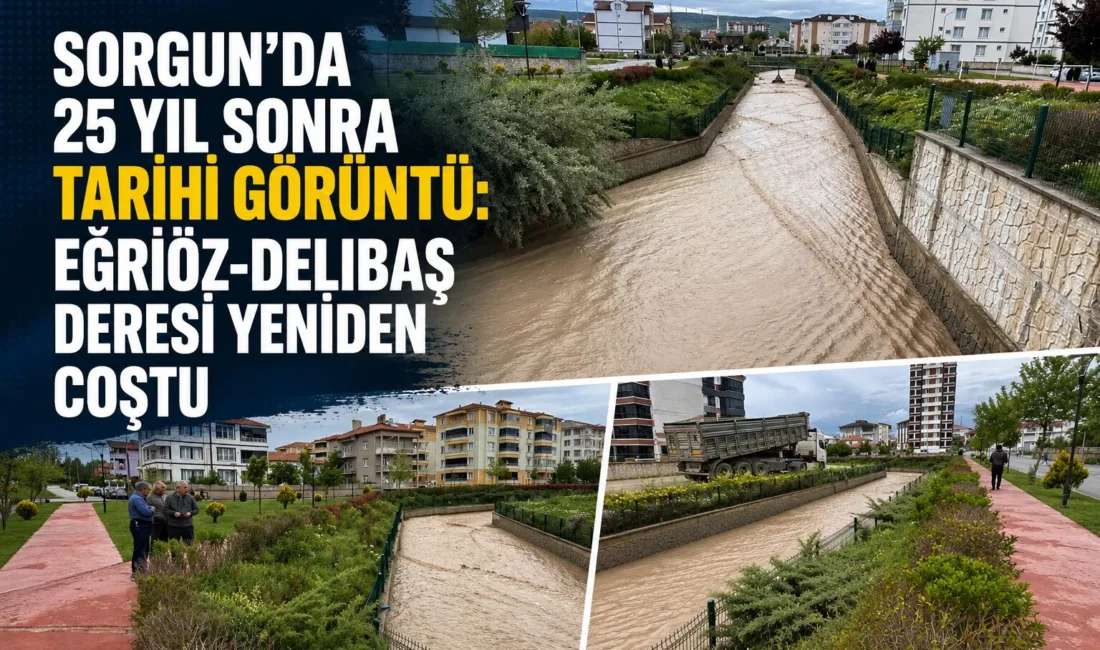 Yozgat’ın Sorgun ilçesinde yıllardır kuraklık nedeniyle kuruyan Eğriöz-Delibaş Deresi, etkili
