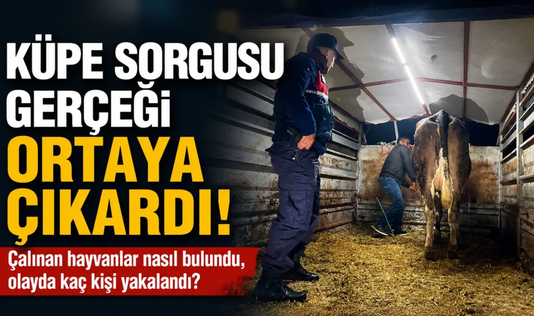 Yozgat İl Jandarma Komutanlığı, Yenifakılı'da devriye sırasında başıboş bir büyükbaş
