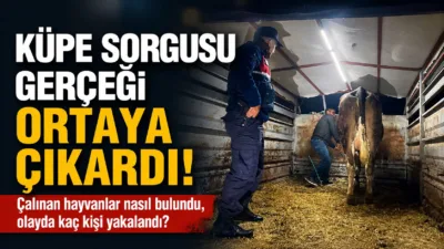 Yozgat İl Jandarma Komutanlığı, Yenifakılı'da devriye sırasında başıboş bir büyükbaş