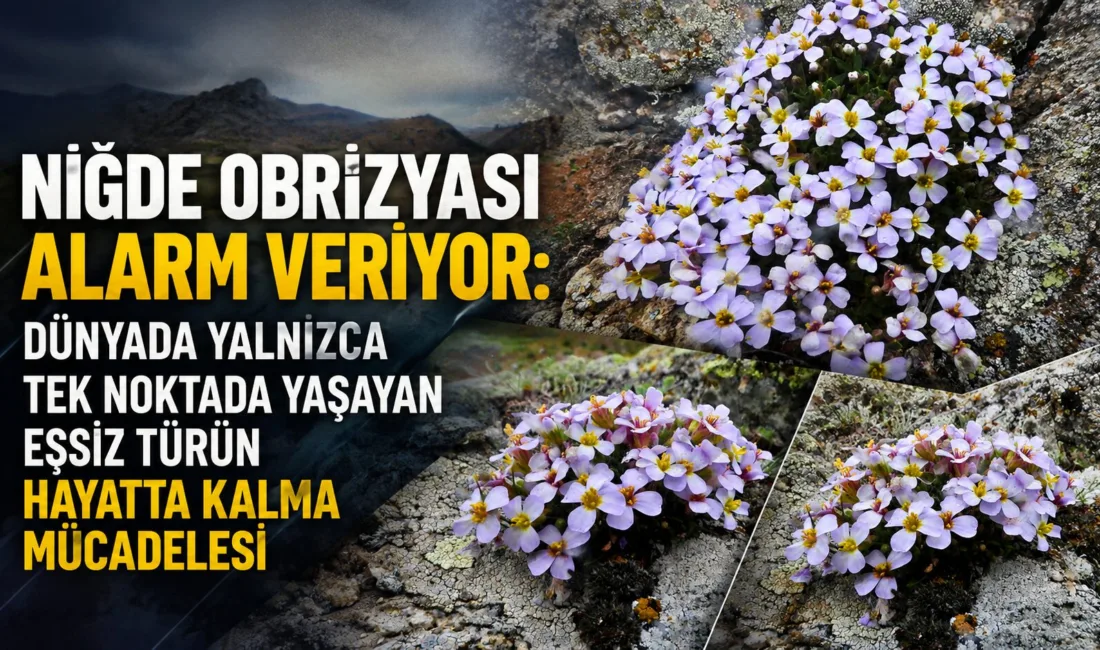 Türkiye’nin endemik bitki zenginliği içinde özel bir yere sahip olan