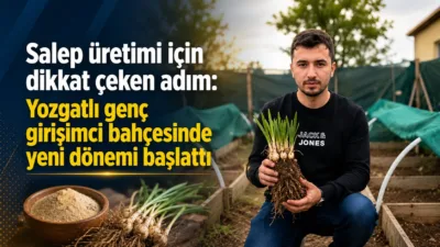 Salep üretiminde dışa bağımlılığı azaltabilecek bir deneme Yozgat'tan geldi. 26