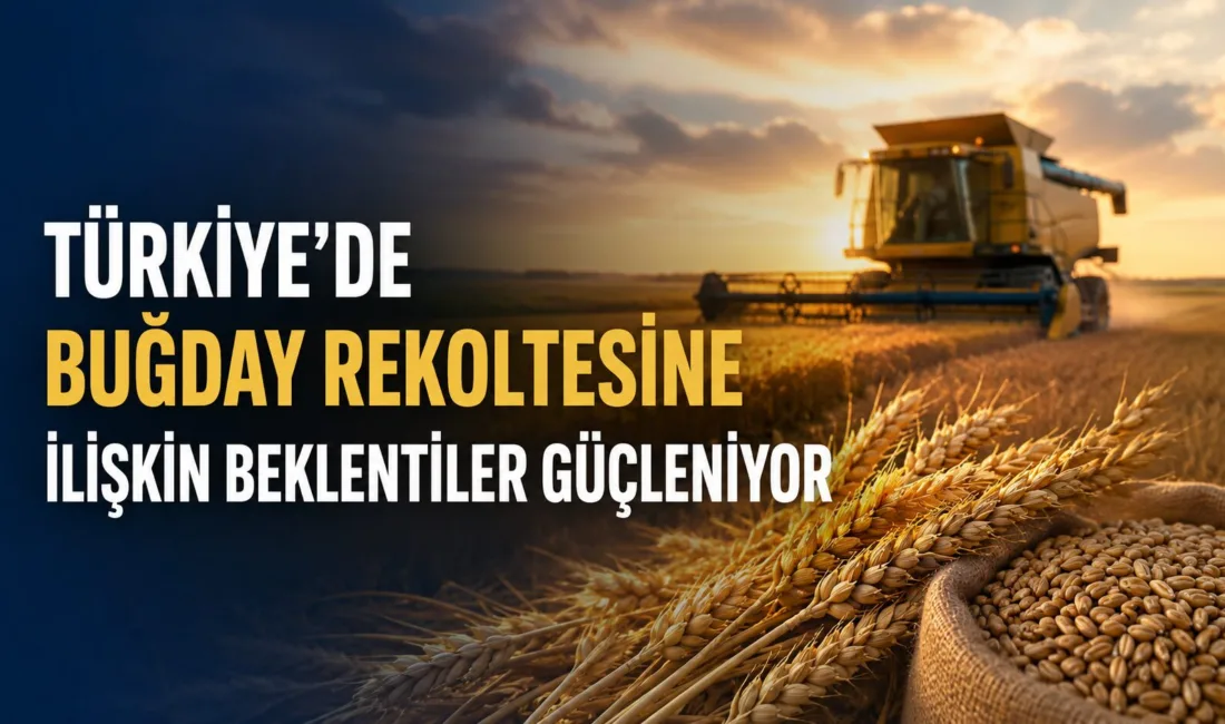 Ulusal Hububat Konseyi'nin yayımladığı rapora göre, Türkiye'de buğday rekoltesinin 2023