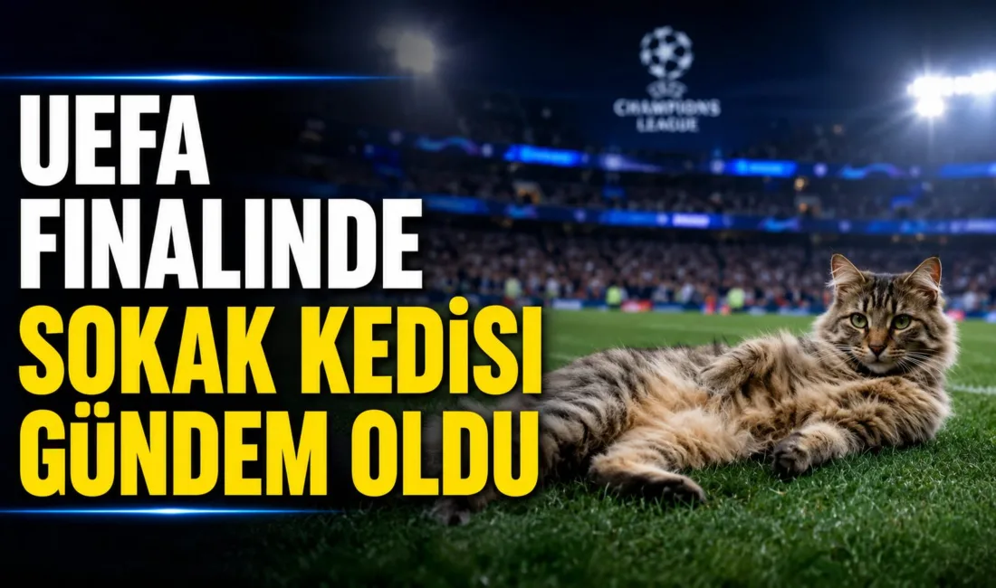 Tüpraş Park’ta gerçekleştirilen UEFA Avrupa Ligi finali öncesinde sahaya giren