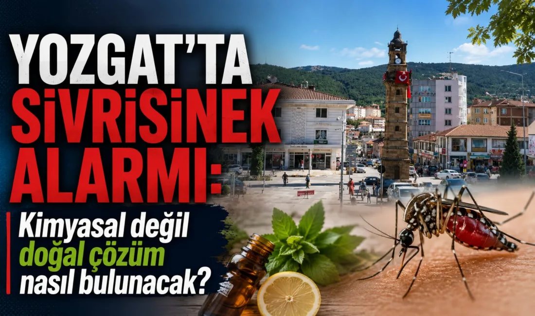 Yozgat'ta hava sıcaklıklarının artmasıyla birlikte sivrisinekler yeniden ortaya çıktı. Vatandaşlar,