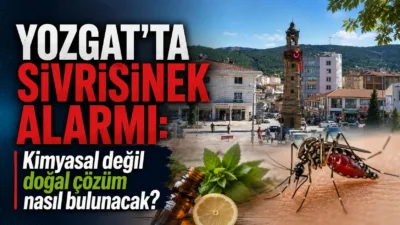 Yozgat'ta hava sıcaklıklarının artmasıyla birlikte sivrisinekler yeniden ortaya çıktı. Vatandaşlar,