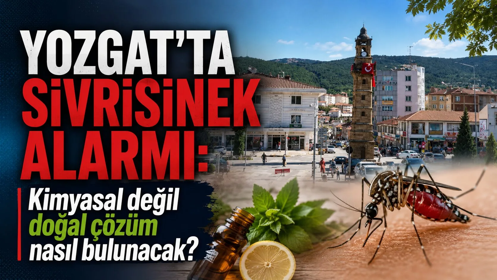 Yozgat'ta hava sıcaklıklarının artmasıyla birlikte sivrisinekler yeniden ortaya çıktı. Vatandaşlar,