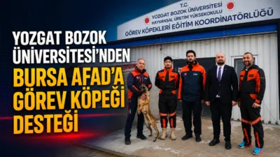 Yozgat Bozok Üniversitesi Görev Köpekleri Eğitim Koordinatörlüğü’nde eğitimini tamamlayan “Asil”