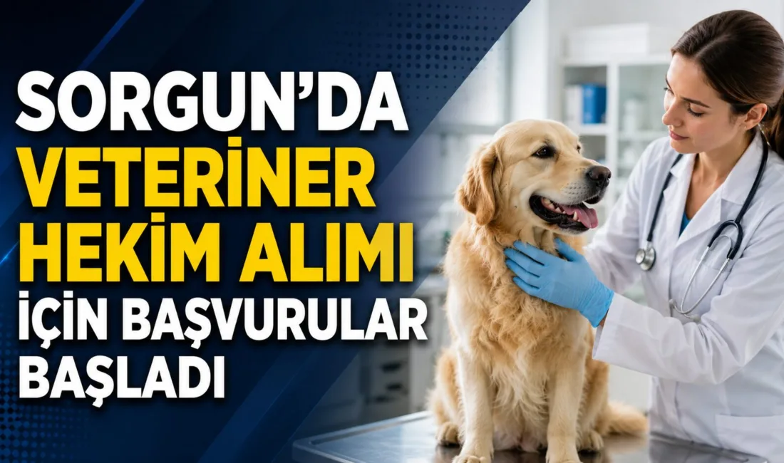 Yozgat'ın Sorgun ilçesinde belediye bünyesinde istihdam edilecek 1 veteriner hekim