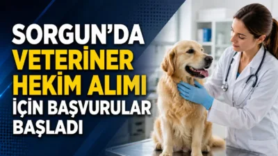 Yozgat'ın Sorgun ilçesinde belediye bünyesinde istihdam edilecek 1 veteriner hekim