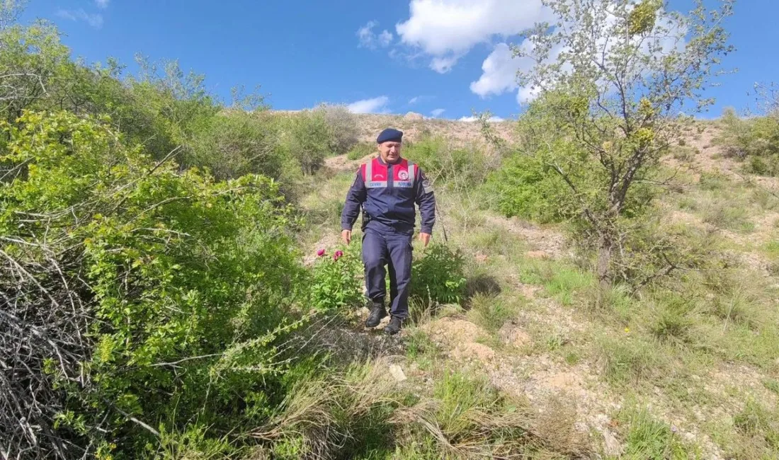 Yozgat İl Jandarma Komutanlığı, Cehrilik Lalesi'nin doğal yaşam alanlarını korumak