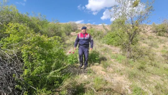 Yozgat İl Jandarma Komutanlığı, Cehrilik Lalesi'nin doğal yaşam alanlarını korumak