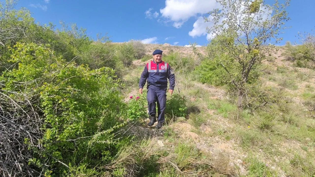 Yozgat İl Jandarma Komutanlığı, Cehrilik Lalesi'nin doğal yaşam alanlarını korumak