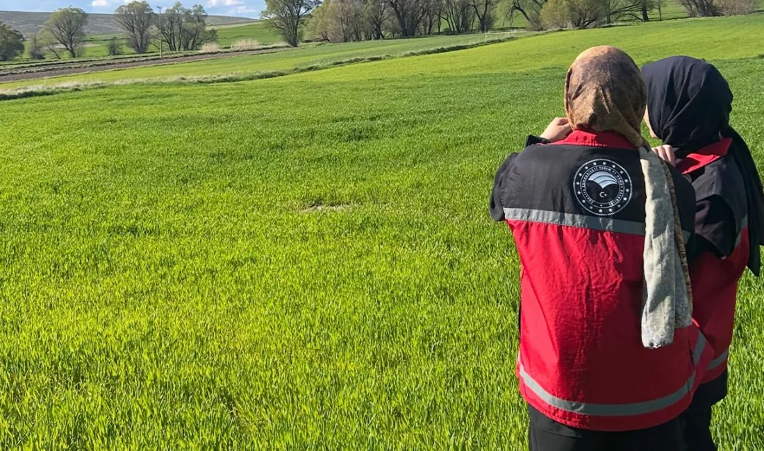 Yozgat'ın Sarıkaya ilçesinde, Tarım ve Orman Bakanlığı'nın yürüttüğü dijital tarım