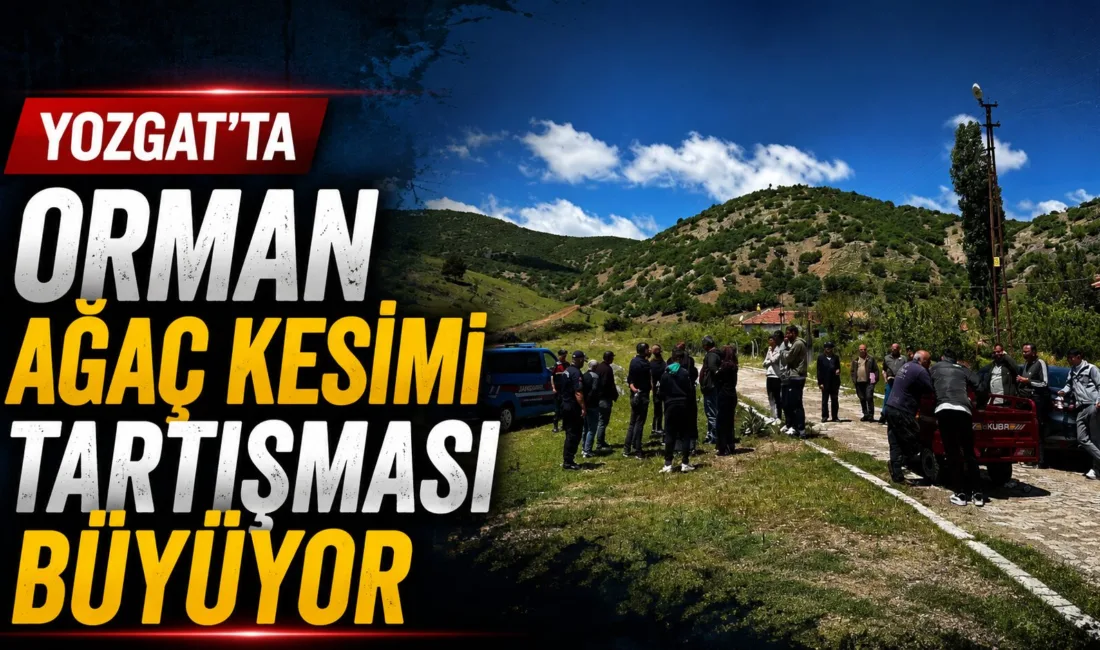 Yozgat'ın Saraykent ilçesinde, orman arazisinde gerçekleştirilen ağaç kesimi, bölge halkının