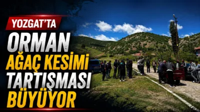 Yozgat'ın Saraykent ilçesinde, orman arazisinde gerçekleştirilen ağaç kesimi, bölge halkının