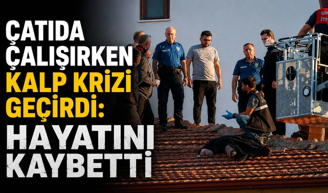 Güneş enerjisi sisteminin bakımını yapmak için çatıya çıkan bir kişi,
