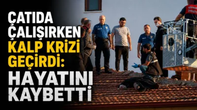 Güneş enerjisi sisteminin bakımını yapmak için çatıya çıkan bir kişi,