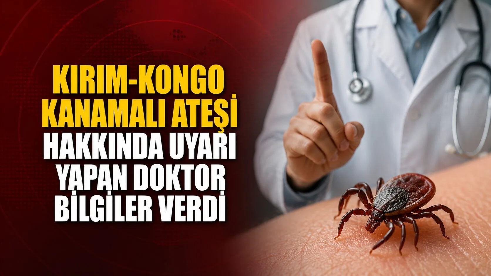 Yozgat Bozok Üniversitesi'nde görevli Dr. Nuriye Yalçın Çolak, Kırım-Kongo Kanamalı