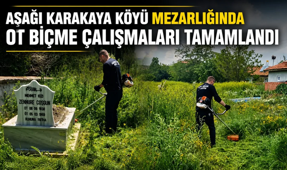 Sorgun’a bağlı Aşağı Karakaya Köyü’nde mezarlık alanında başlatılan ot biçme