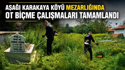 Sorgun’a bağlı Aşağı Karakaya Köyü’nde mezarlık alanında başlatılan ot biçme