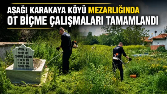 Sorgun’a bağlı Aşağı Karakaya Köyü’nde mezarlık alanında başlatılan ot biçme