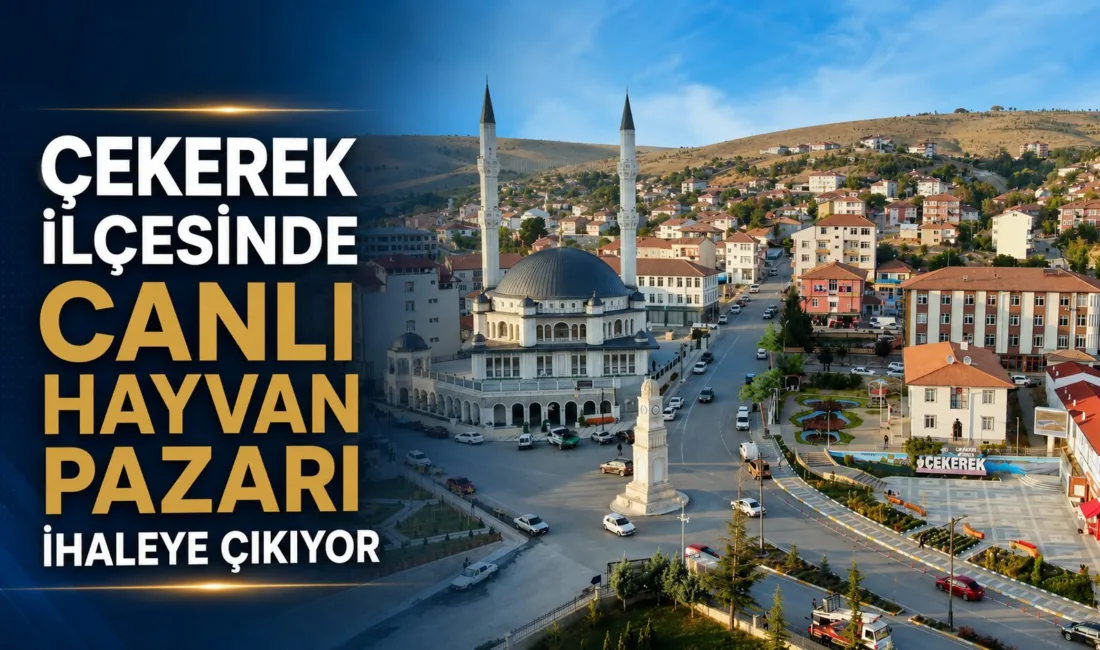 Yozgat’ın Çekerek ilçesinde bulunan belediyeye ait canlı hayvan pazarı, 24