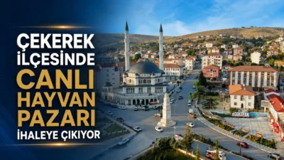 Yozgat’ın Çekerek ilçesinde bulunan belediyeye ait canlı hayvan pazarı, 24