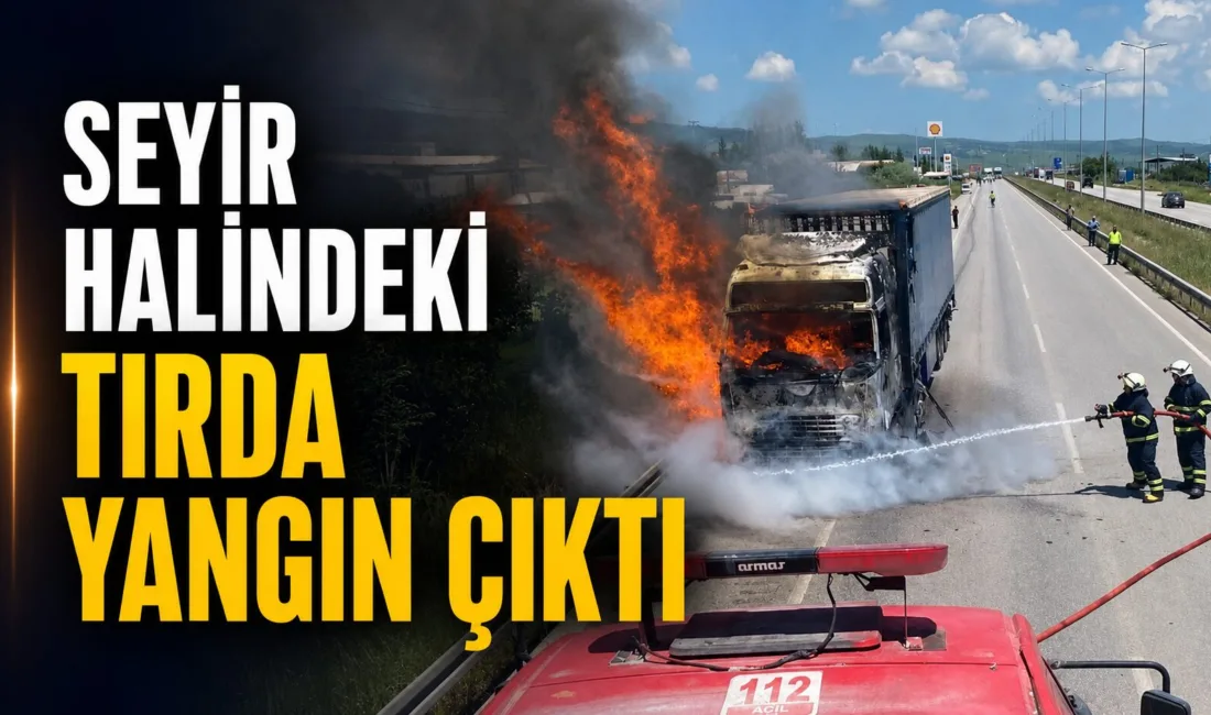 İran vatandaşı Ali Asgari'nin kullandığı 39 AA 129 plakalı tırda