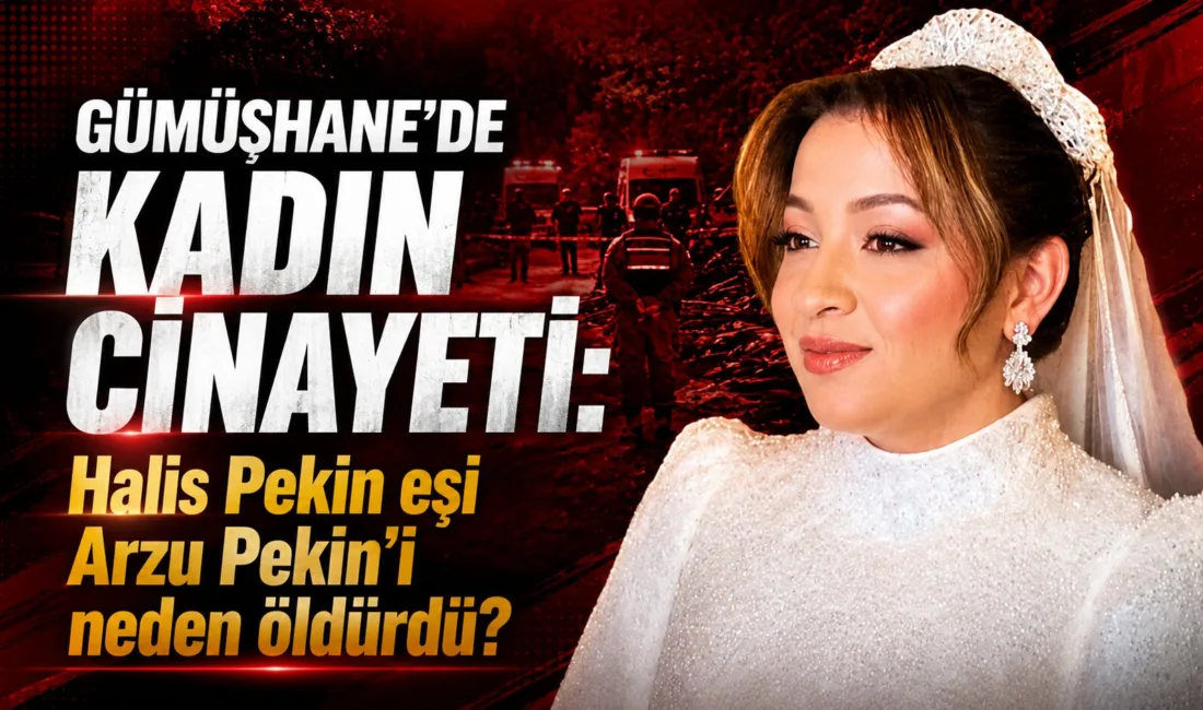 Gümüşhane'nin Torul ilçesinde 26 yaşındaki Halis Pekin, eşi Arzu Pekin