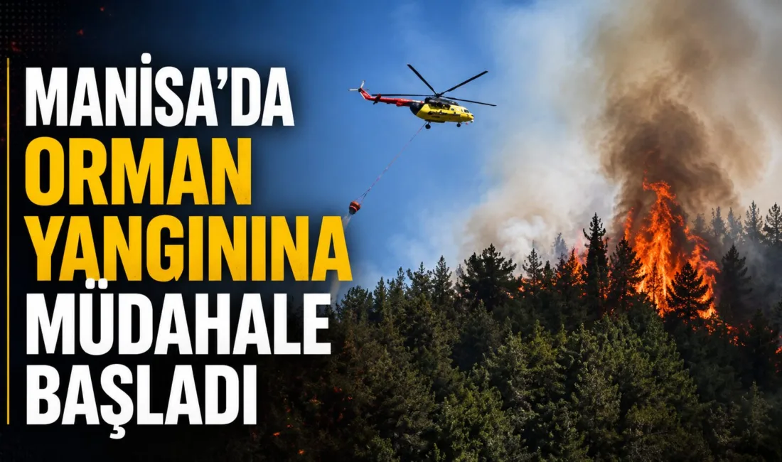 Manisa'nın Derbent ve Çıkrıkçı mahalleleri yakınlarındaki ormanlık alanda nedeni bilinmeyen