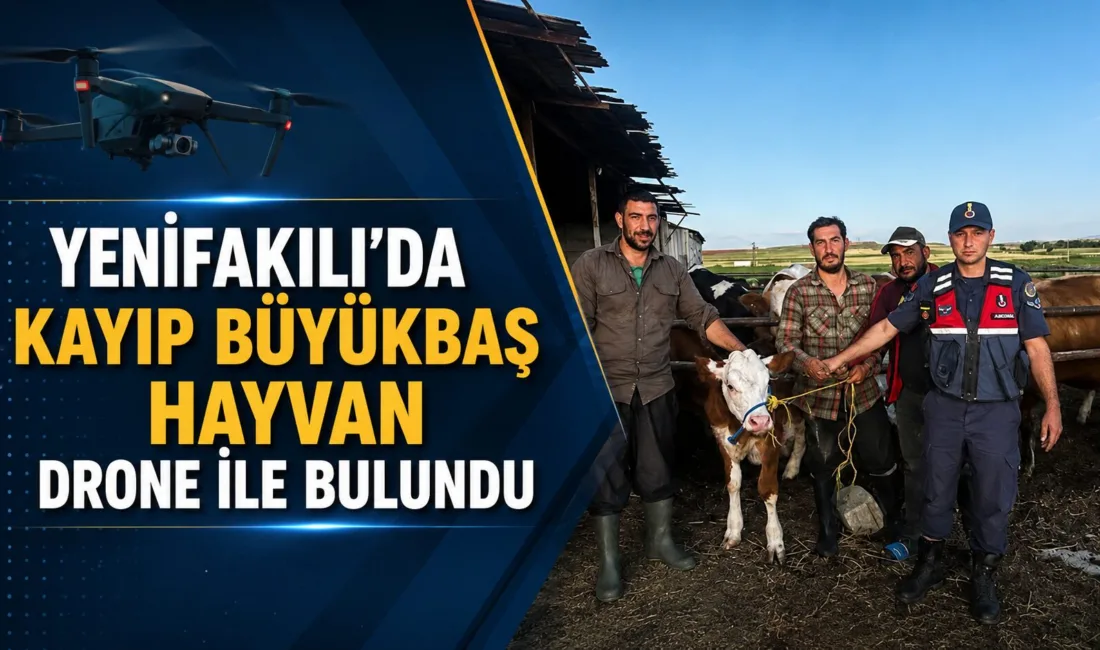 Yozgat'ın Yenifakılı ilçesine bağlı Bektaşlı Köyü'nde kaybolan büyükbaş hayvan, Jandarma