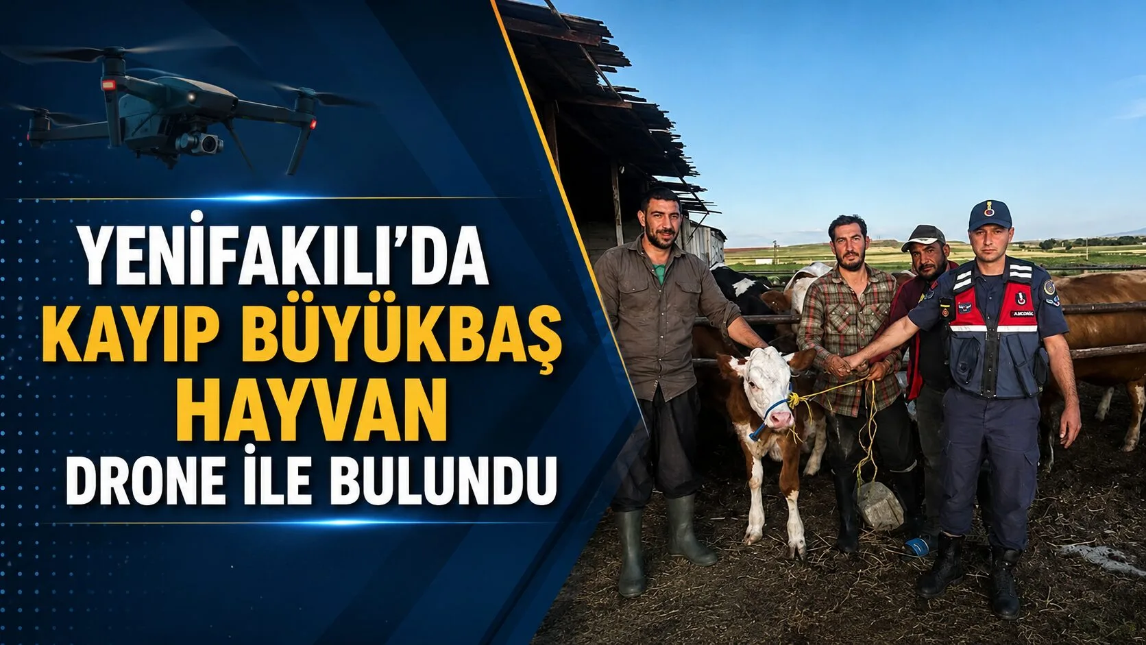 Yozgat'ın Yenifakılı ilçesine bağlı Bektaşlı Köyü'nde kaybolan büyükbaş hayvan, Jandarma