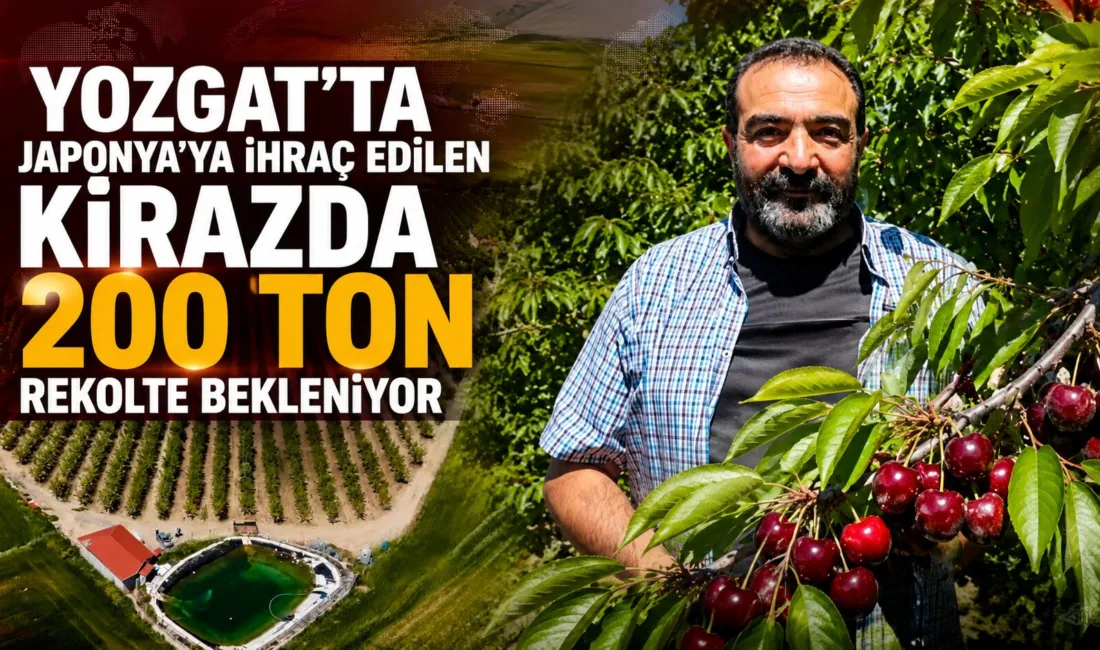 Yozgat’ın Sorgun ilçesine bağlı Bahadın beldesinde 164 dönümlük alanda kurulu