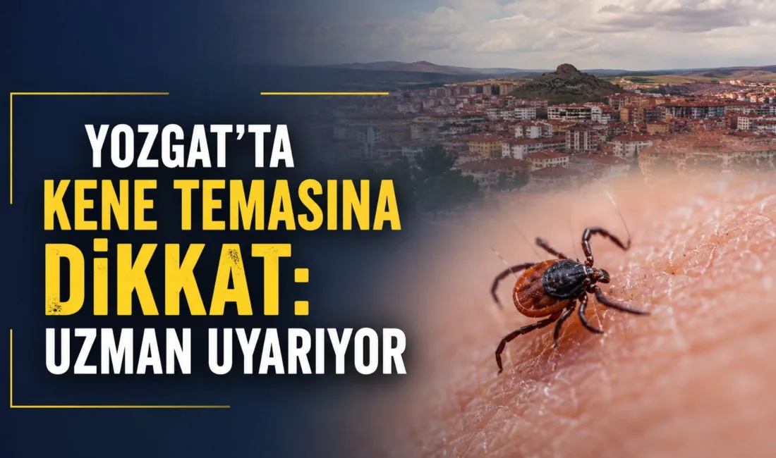 Yozgat'ta yaz aylarının gelmesiyle çocukların açık alanlarda geçirdiği süre artarken,