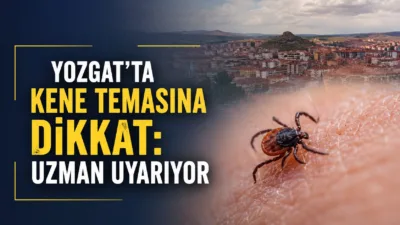 Yozgat'ta yaz aylarının gelmesiyle çocukların açık alanlarda geçirdiği süre artarken,