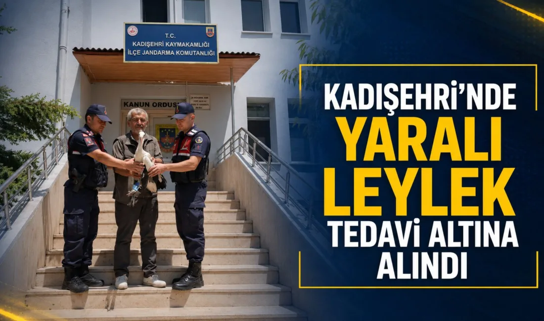 Kadışehri ilçesinde bulunan yaralı leylek, jandarma ekipleri tarafından tedavi edilmek