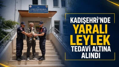 Kadışehri ilçesinde bulunan yaralı leylek, jandarma ekipleri tarafından tedavi edilmek