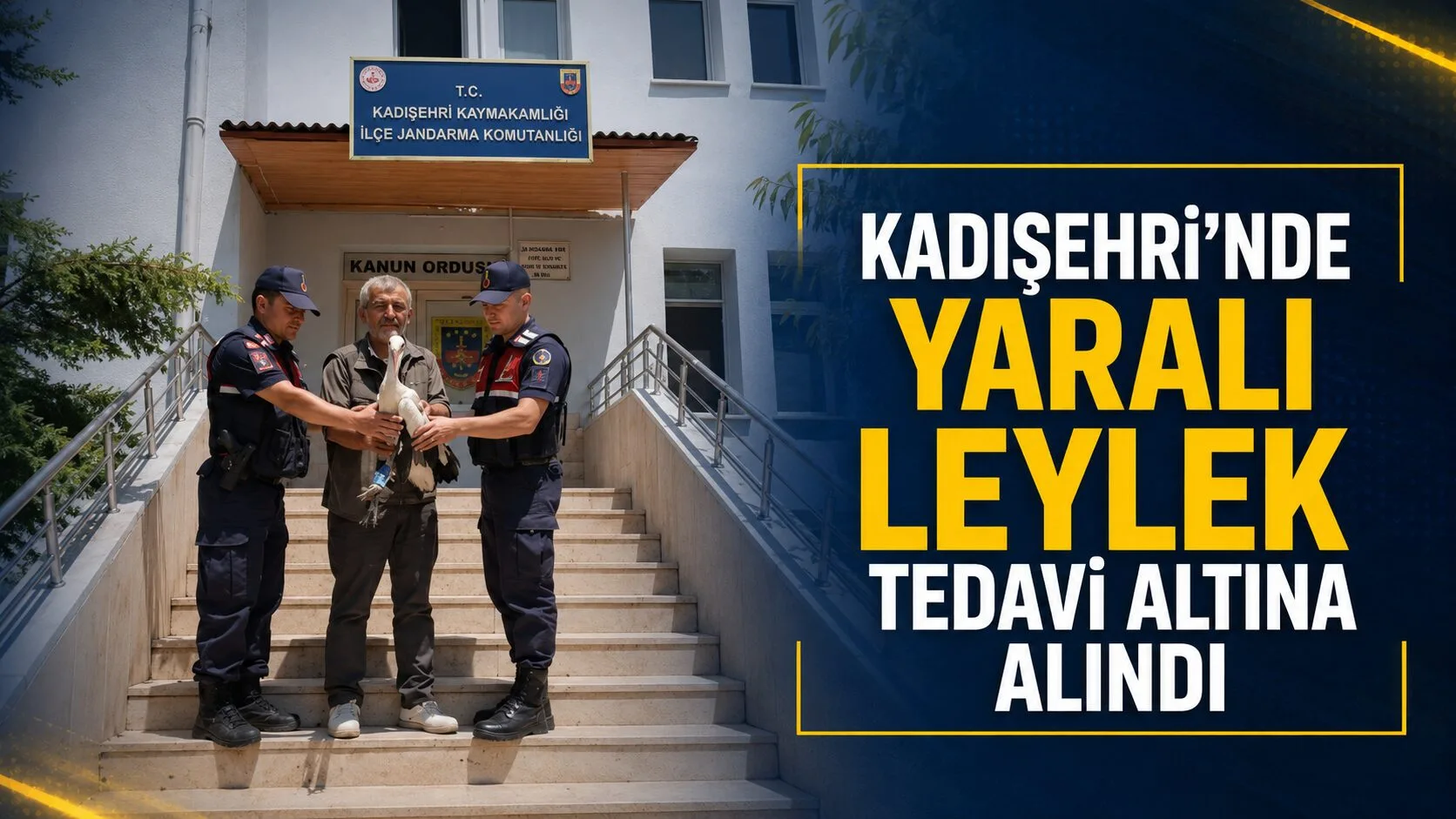 Kadışehri ilçesinde bulunan yaralı leylek, jandarma ekipleri tarafından tedavi edilmek
