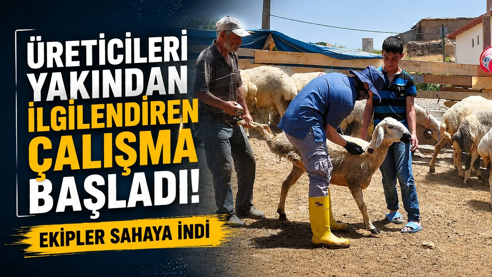 Hayvancılıkla uğraşan üreticileri ilgilendiren önemli çalışma hız kesmeden devam ediyor.