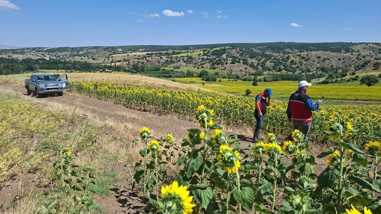 Yozgat İl Tarım ve Orman Müdürlüğü, Tarım ve Orman Bakanlığı'nın
