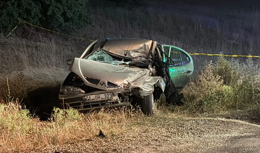 Kırşehir'in Çiçekdağı ilçesindeki Tuz Döken mevkiinde bir otomobilin buğday yüklü