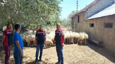 Yozgat'ta Tarım ve Orman Bakanlığı'nın "Kırsalda Bereket, Küçükbaşa Destek Projesi"