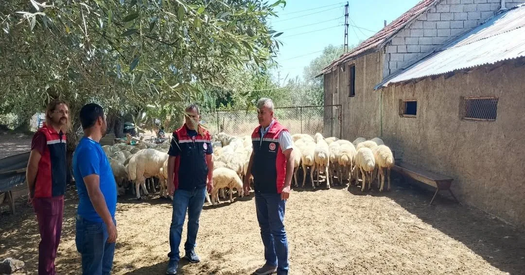 Yozgat'ta Tarım ve Orman Bakanlığı'nın "Kırsalda Bereket, Küçükbaşa Destek Projesi"